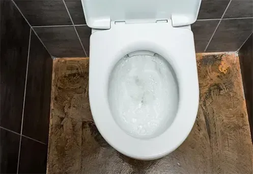 Desentupidora de Vaso Sanitário no Jardim São Roque em Americana